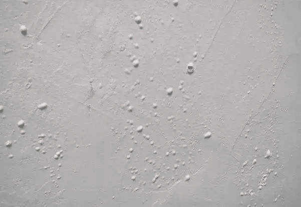 膩?zhàn)臃巯輨┑膽?yīng)用場(chǎng)景